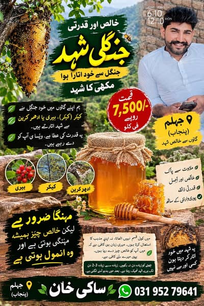 خالص جنگلی شہد  | جہلم پنجاب سے قدرتی شہد | 100% اصلی ذائقہ