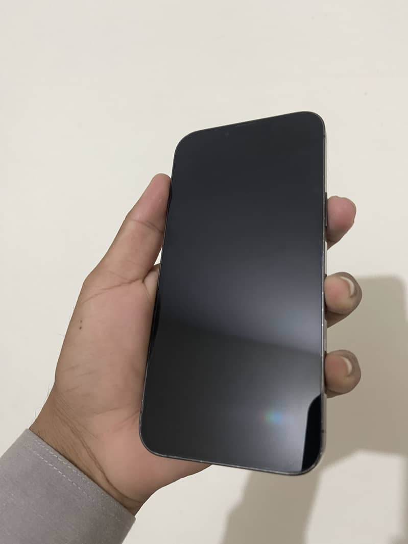 Apple iPhone 13 Pro Max 0