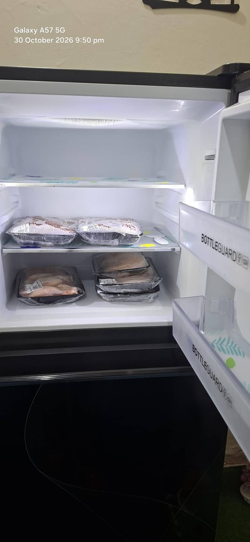 fridge 1