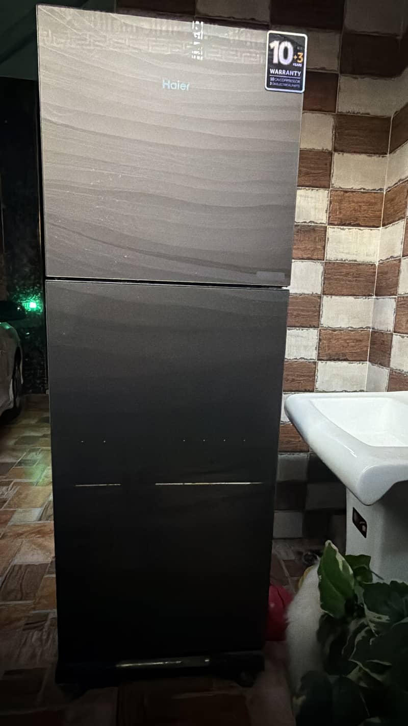 Fridge 4