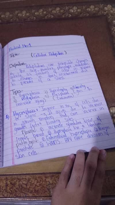 CV  banna kya dogi