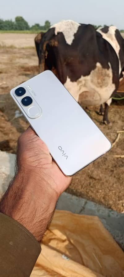 Vivo Y200 4g 8+8 Ram 256 GB memory 10 by 10 condition PTA approved