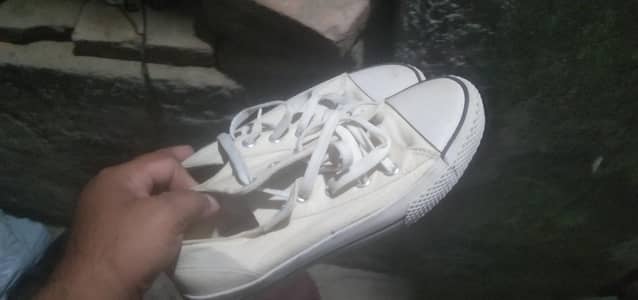 brand shoes zbrdst