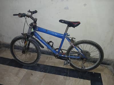 Camel Mountain bicycle