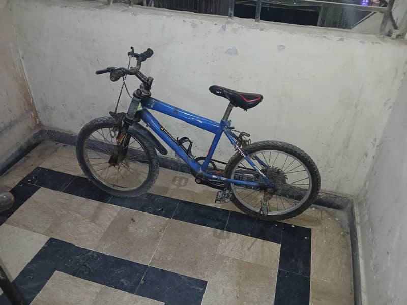 Camel Mountain bicycle 1
