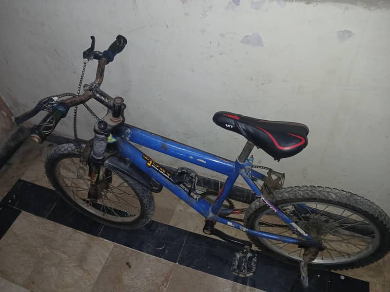 Camel Mountain bicycle 3