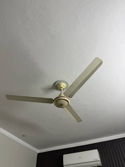 Celling fan
