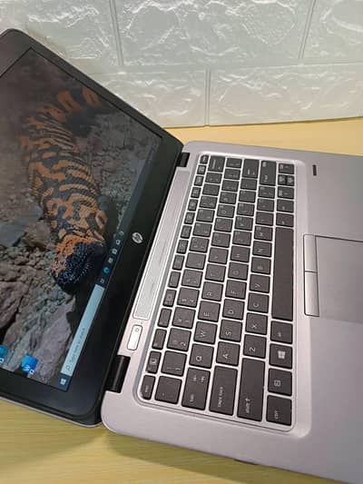 HP Elithbook Core i5 6th Gen | 8 GB DDR4 Ram | 128 + 500 GB SSD+HDD