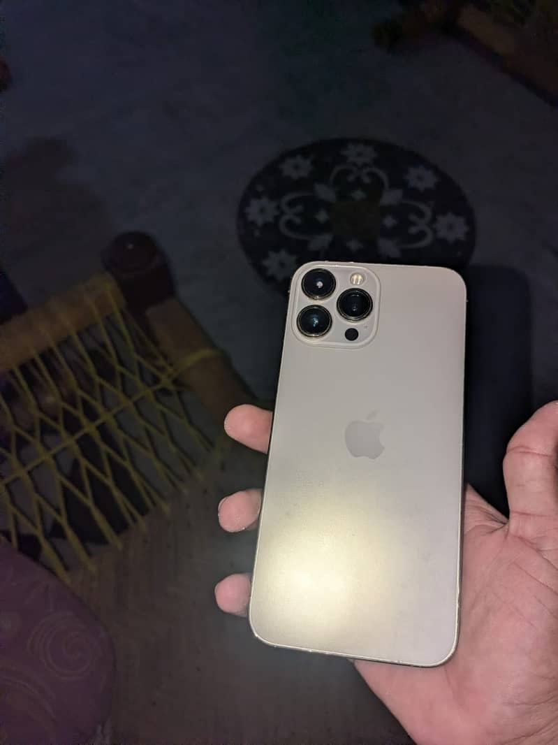 Apple iPhone 13 Pro Max 0