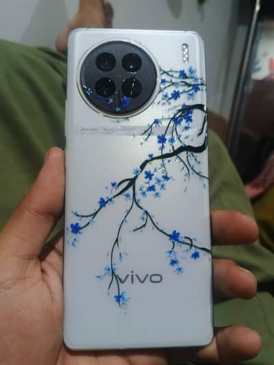 Vivo X90s