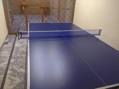Table Tennis