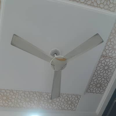 Royal fan