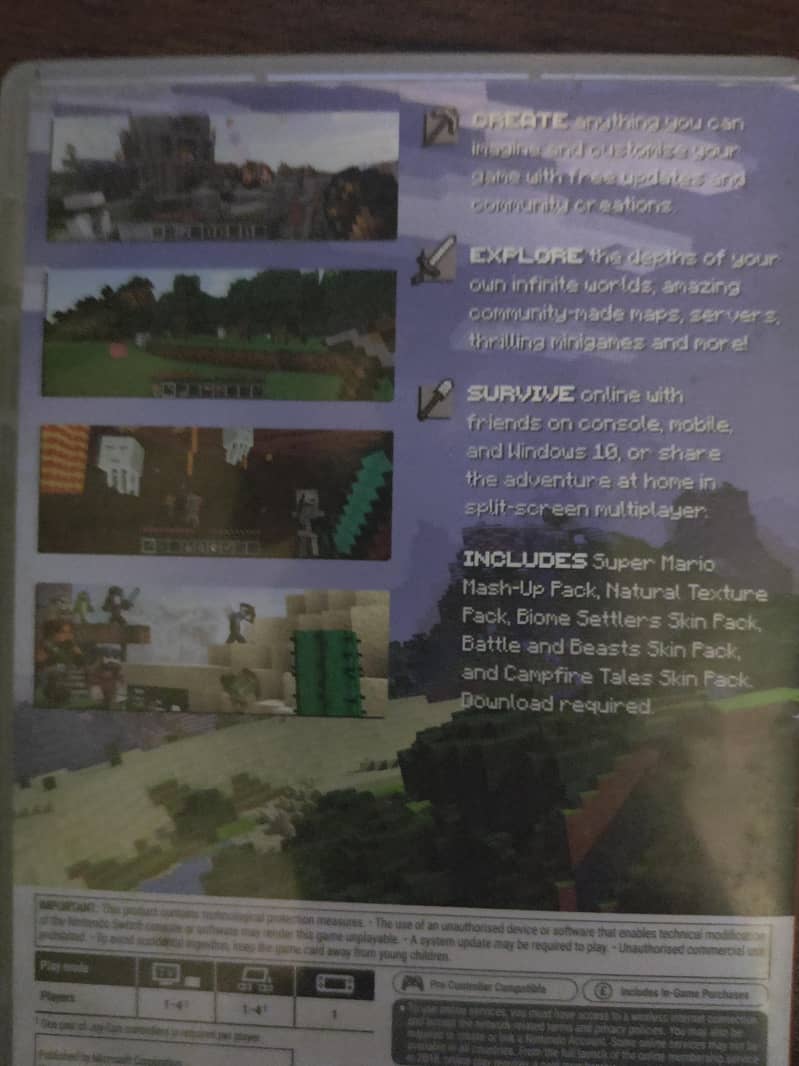Minecraft Nintendo switch 1