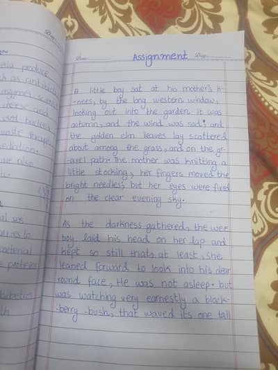 assignment writter