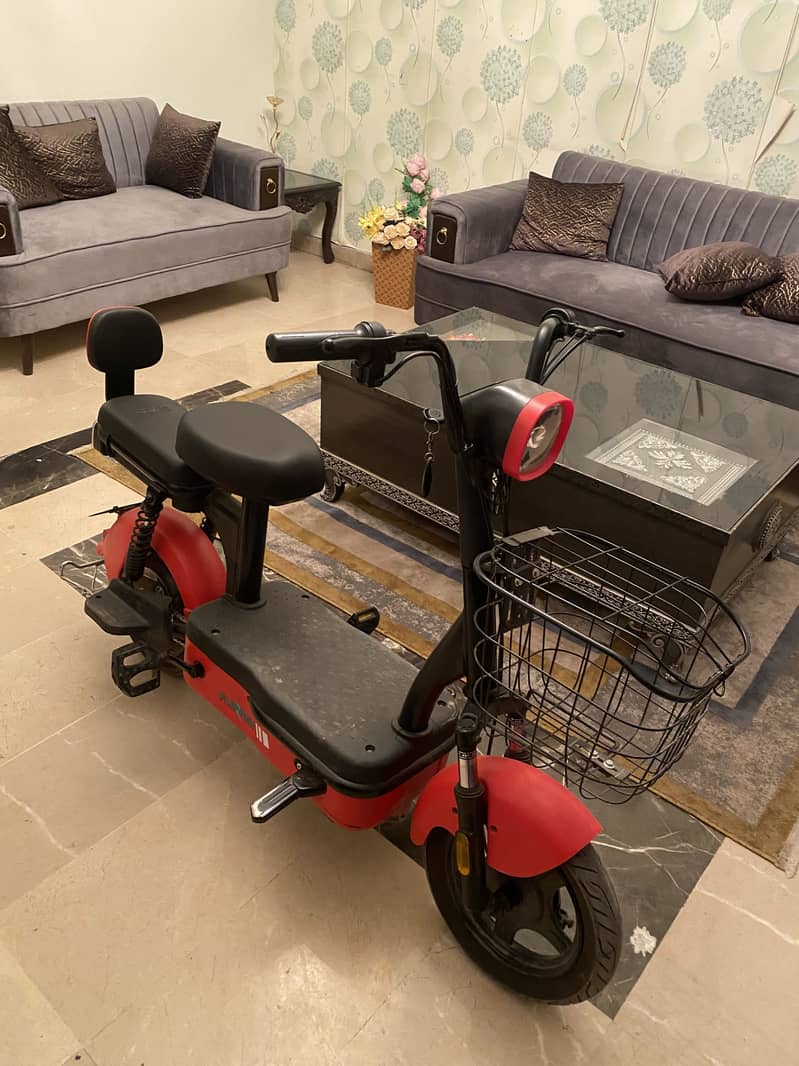 Ev Flipper Scooty 1