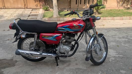 self start 2024 model