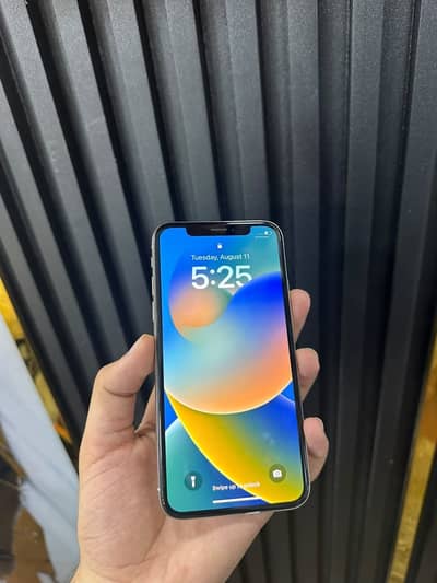 Apple iPhone X