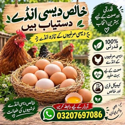 pure desi Andy available hen