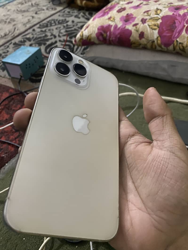 Apple iPhone 13 Pro Max 0