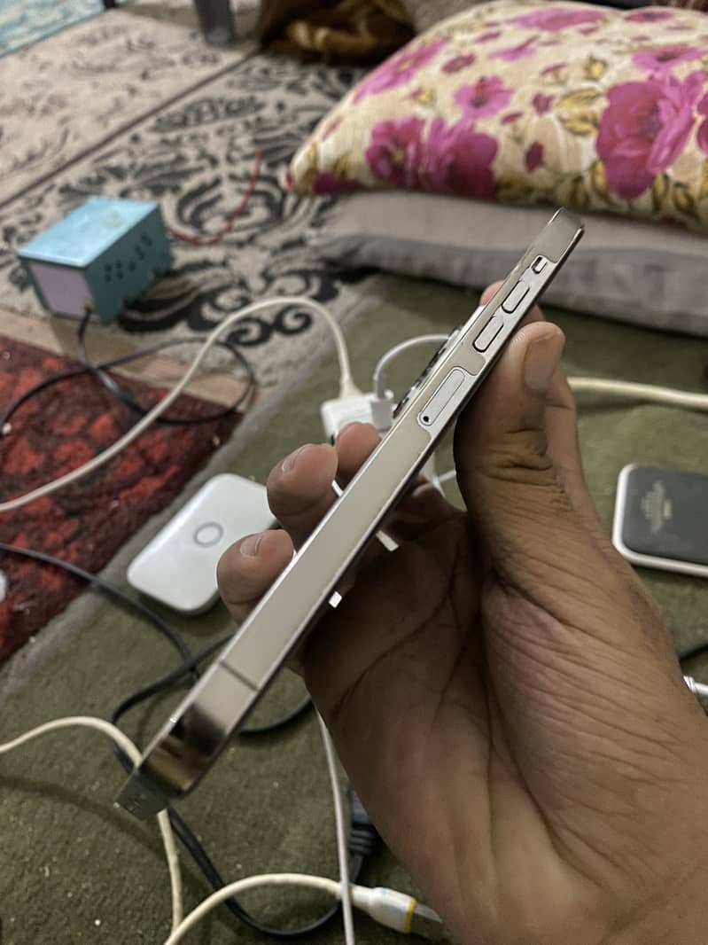 Apple iPhone 13 Pro Max 1