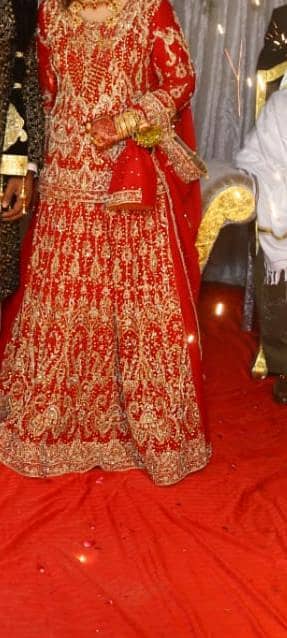 bridal red lengha