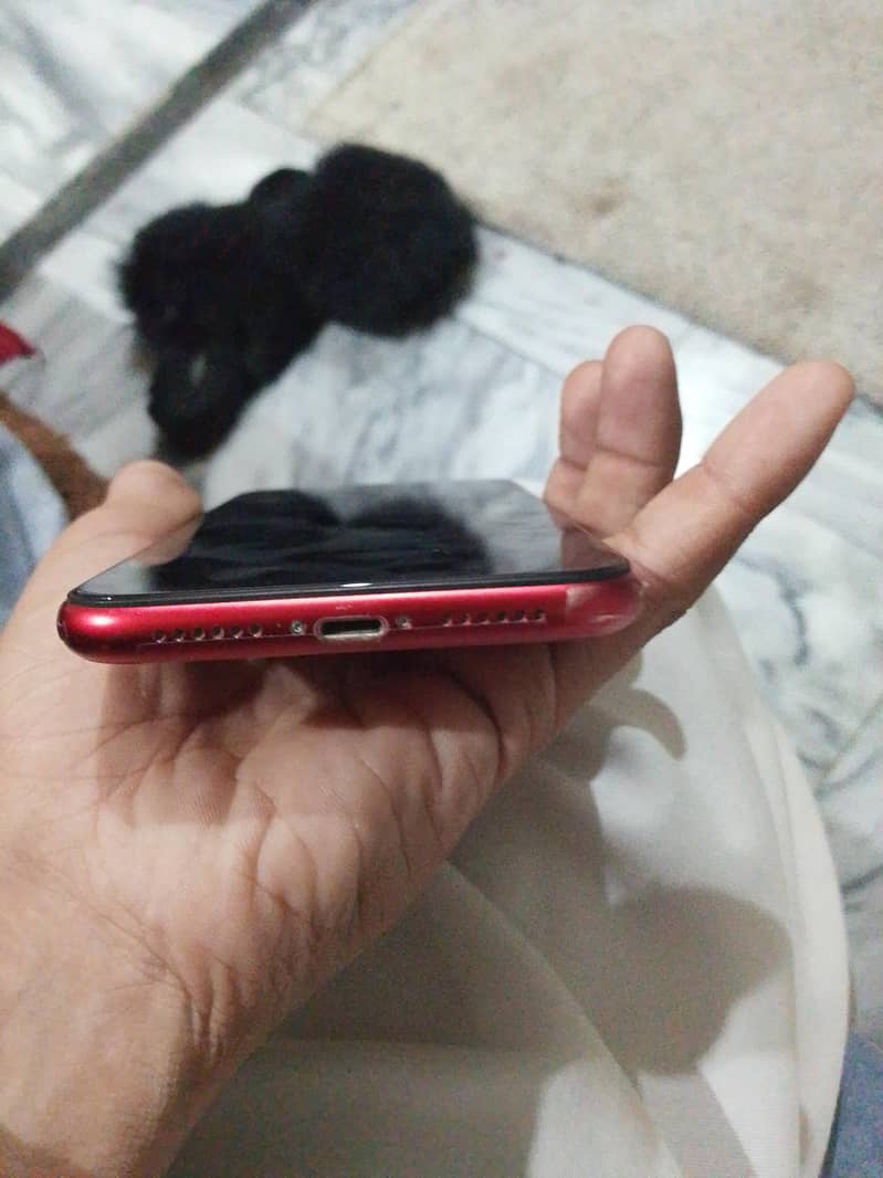 Apple iPhone 11 4