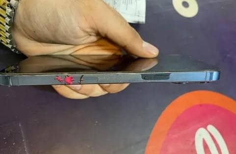 Apple iPhone 13 Pro Max 1