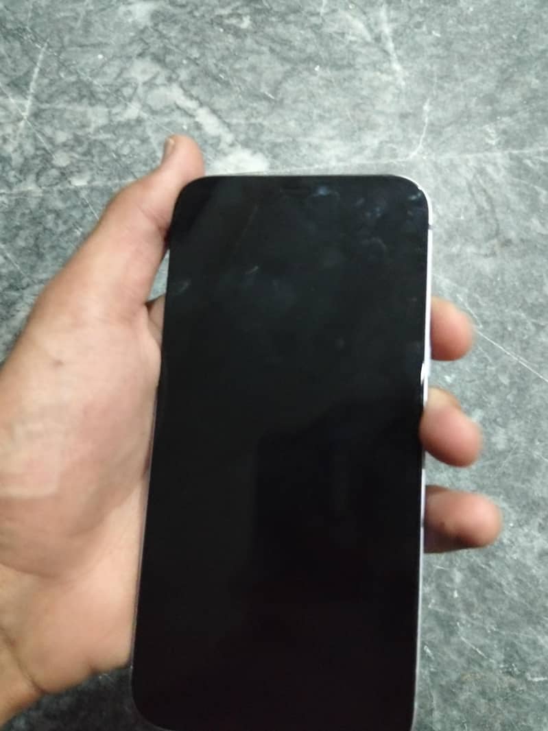 Apple iPhone 12 1