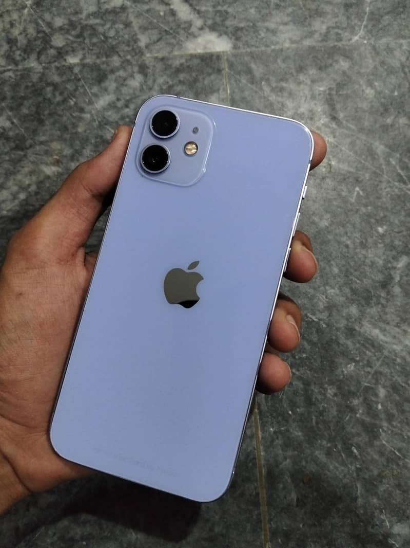 Apple iPhone 12 2