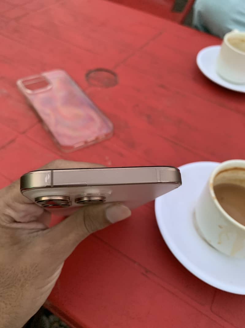 Apple iPhone 16 Pro Max 1