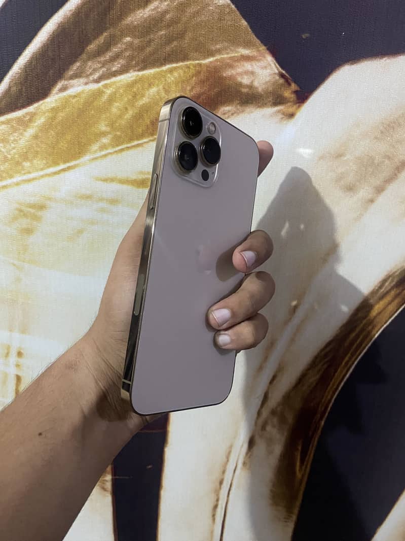 Apple iPhone 13 Pro Max 1