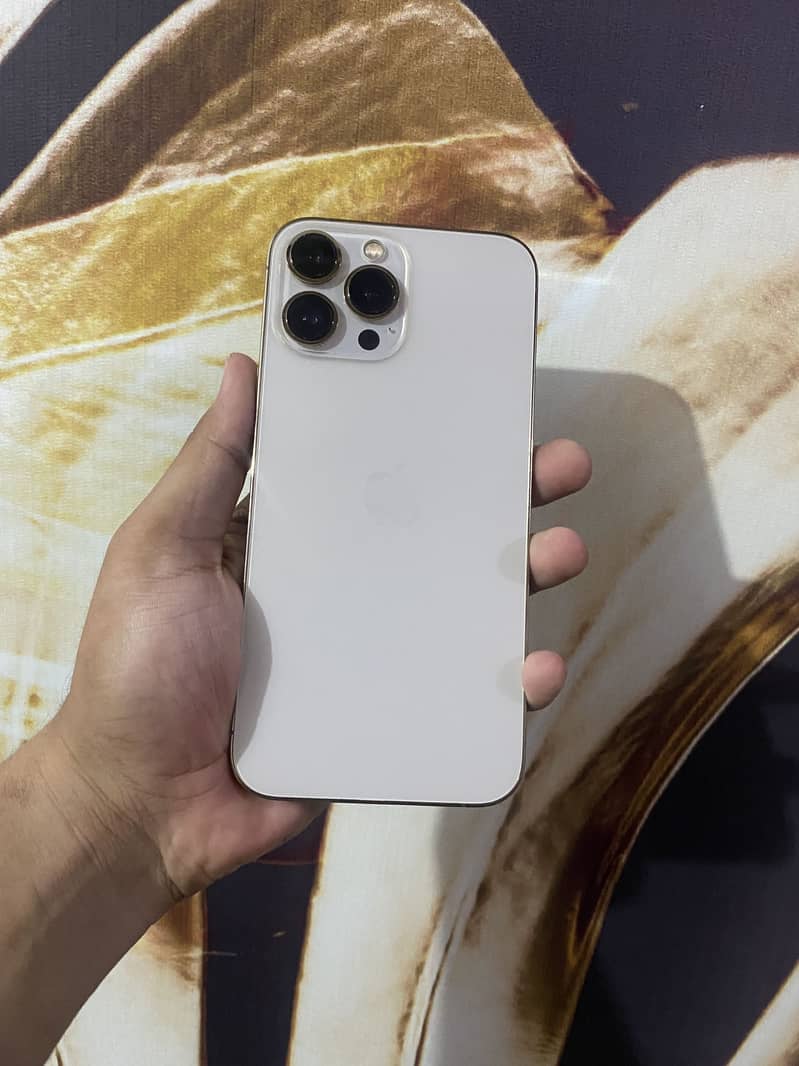Apple iPhone 13 Pro Max 0