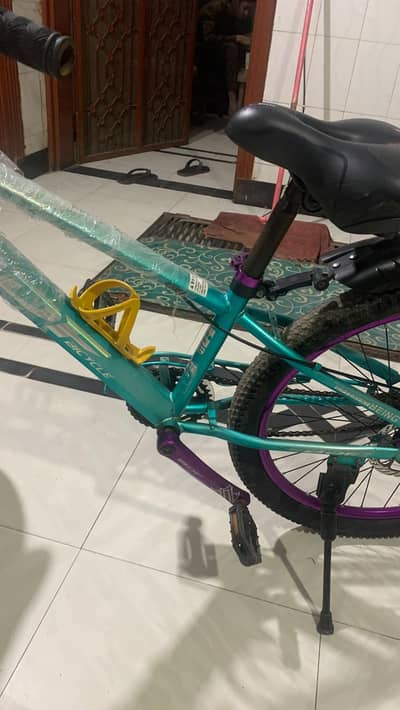 bdf 24 inch bicycle