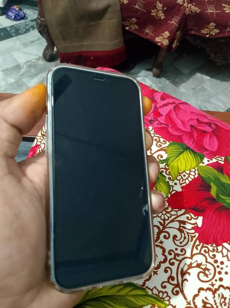 Apple iPhone 12 mini 12