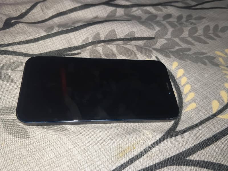 Apple iPhone 12 1
