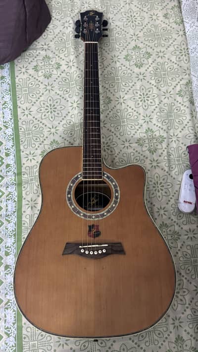 Acoustic Guitar swift horse