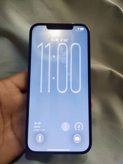 Apple iPhone 12 Pro Max Factory Unlock