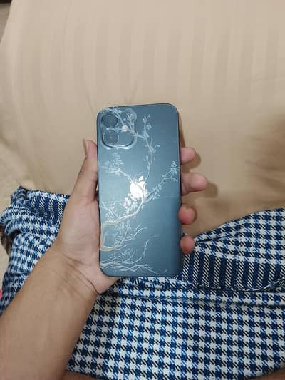 Apple iPhone 12 jv
