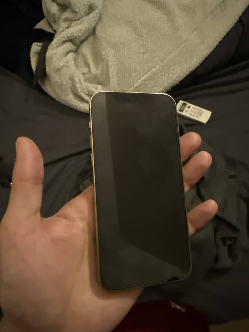 Apple iPhone 12 Pro 1