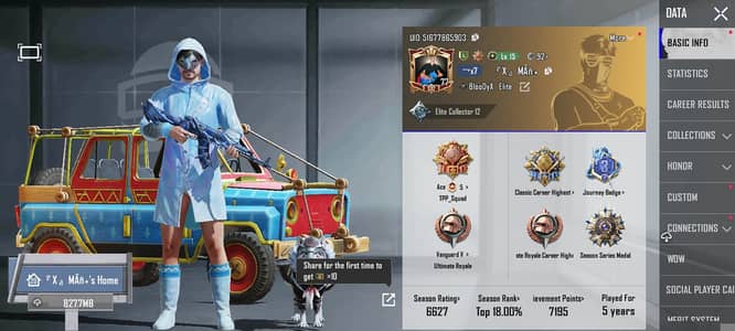 Pub g id for sale 77 level