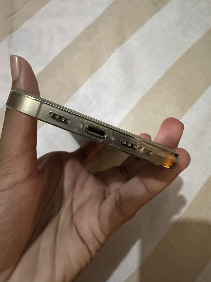 Apple iPhone 12 Pro Max 1