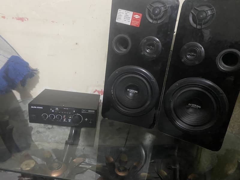 Speaker 0