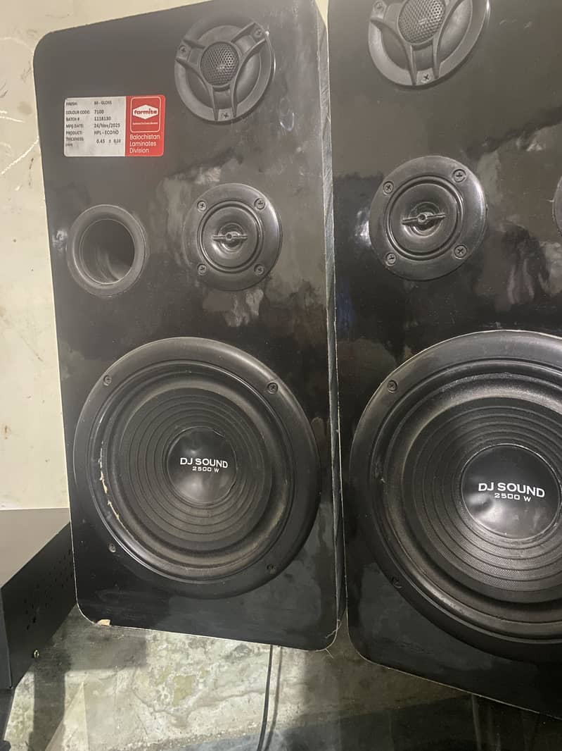 Speaker 5