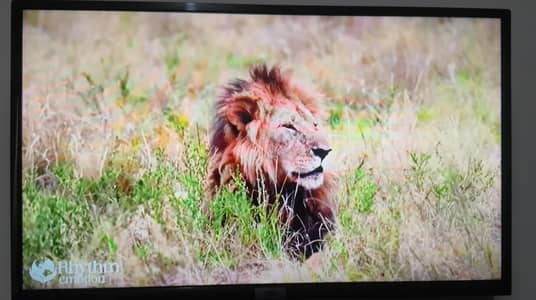 TCL 32 inches smart led