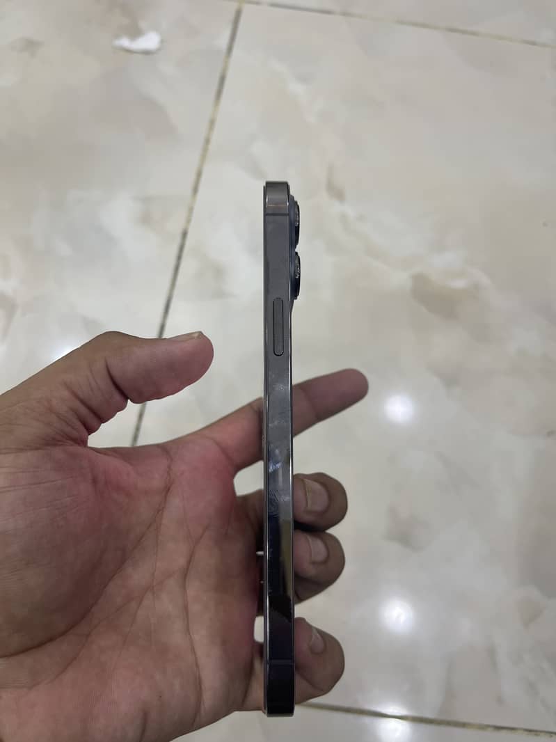 Apple iPhone 13 Pro Max 1