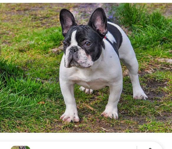 For Stud matting only 0