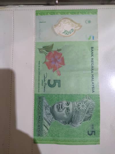 different currency notes more available