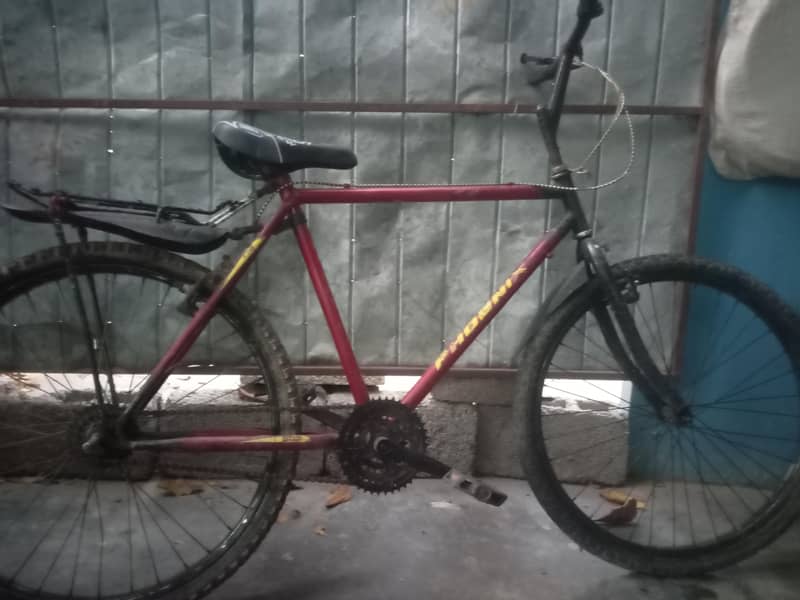 bicycle 0