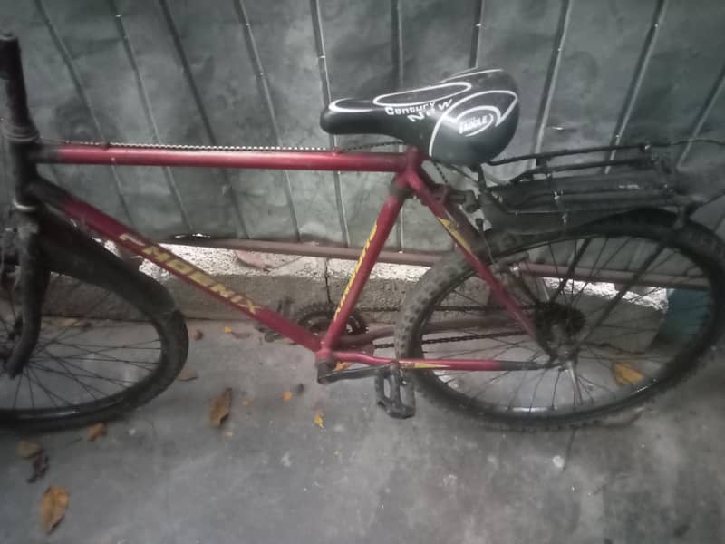 bicycle 2