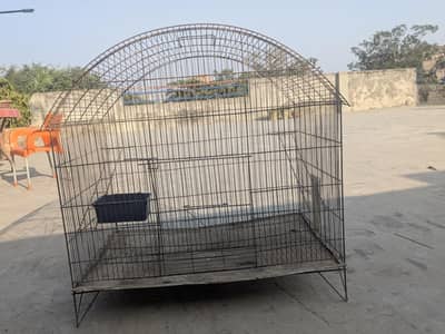 iron  cage for sale